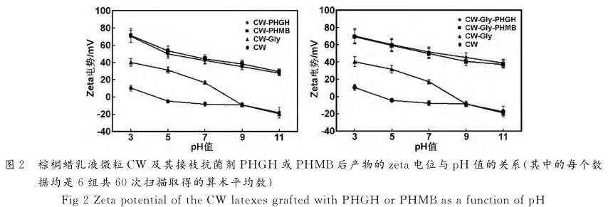 棕櫚蠟乳液微粒ＣＷ 及其接枝抗菌劑ＰＨＧＨ 或ＰＨＭＢ后產(chǎn)物的ｚｅｔａ電位與 ｐＨ 值的關(guān)系（其中的每個數(shù) 據(jù)均是６組共６０次掃描取得的算術(shù)平均數(shù)）
